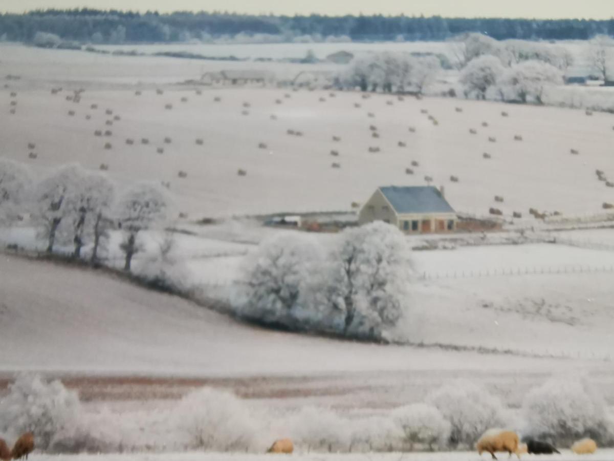 Hillhaven Bed &Breakfast Bed & Breakfast Fortrose Bagian luar foto